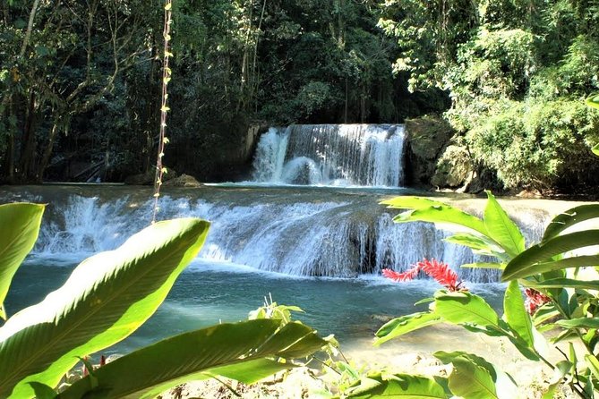 YS Falls and Black River Safari Guided Tour from Montego Bay and Grand Palladium - Value for $145: Admissions, Lunch, and Transport Wrapped Together