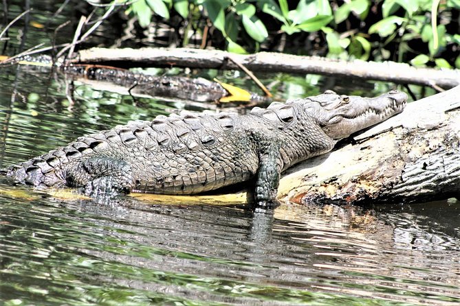 YS Falls and Black River Safari Guided Tour from Montego Bay and Grand Palladium - Who This Tour Fits Best (and Who Should Skip It)