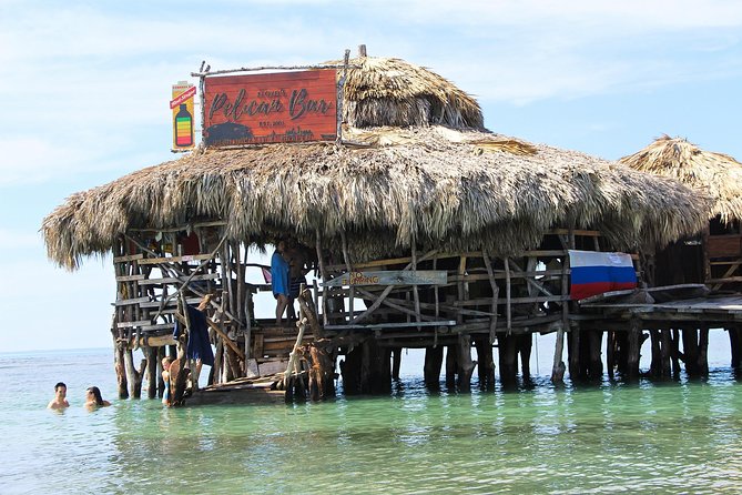 YS Falls, Black River Safari, and Floyd's Pelican Bar Day-Trip (Transportation) - Key highlights worth your attention