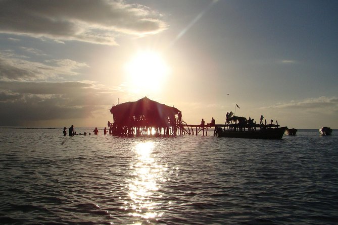 YS Falls, Black River Safari, and Floyd's Pelican Bar Day-Trip (Transportation) - A Private Air-Conditioned South-Coast Run (No Driving Stress)