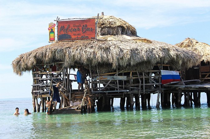 YS Falls, Black River Safari, and Floyd's Pelican Bar Day-Trip (Transportation) - How the 8–9 Hour Timing Actually Works