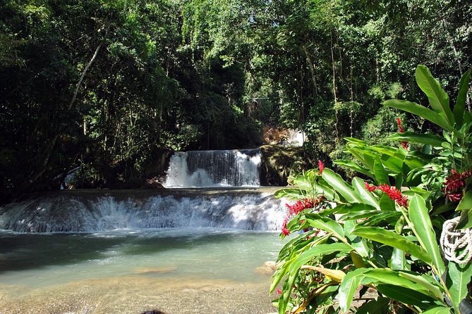 YS Falls, Black River Safari, Appleton Rum Tour OR Pelican Bar (Choose Up to 3) - A Private South Coast Day: How the choice drives the value