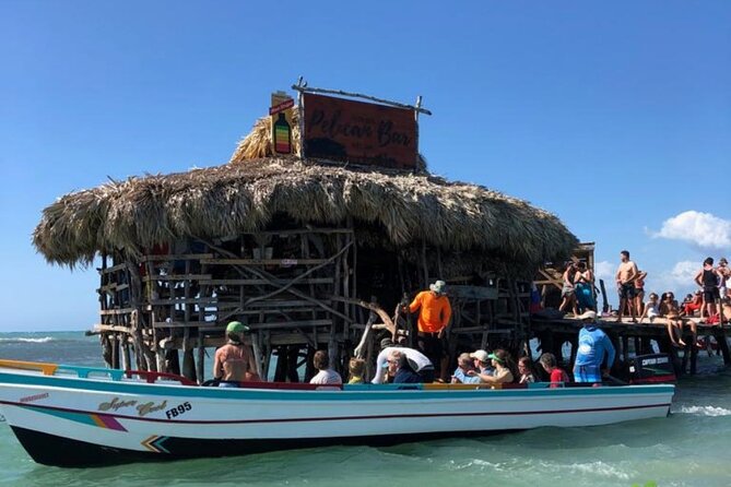 YS Falls, Black River Safari, Appleton Rum Tour OR Pelican Bar (Choose Up to 3) - Floyd’s Pelican Bar: driftwood, a boat ride, and a relaxed sandbar meal