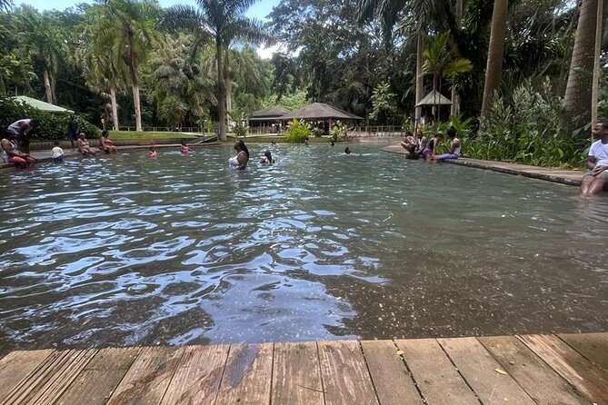 YS Falls, Black River Safari, Appleton Rum Tour OR Pelican Bar (Choose Up to 3) - Price and logistics: what the $195 actually buys (and what costs extra)