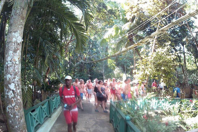 Zip Line over the Dunns River Falls - Key highlights worth planning for