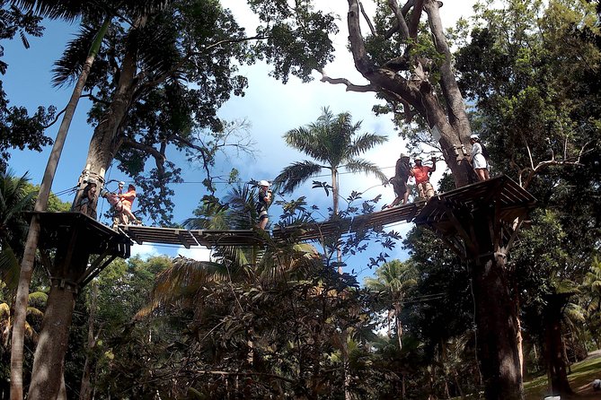 Zip Line over the Dunns River Falls - Why Ziplining Dunn’s River Falls Works as a Montego Bay Day Trip
