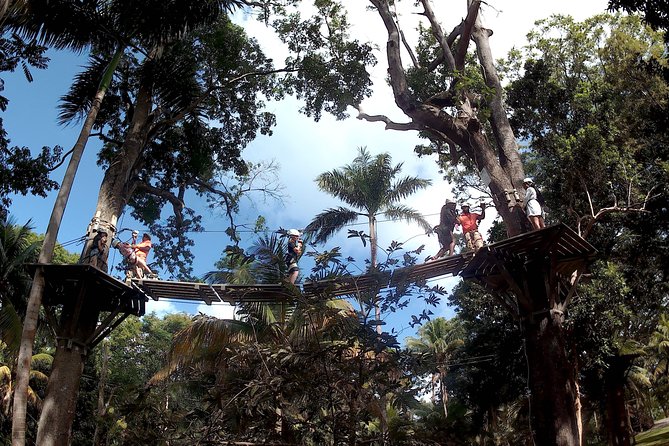 Zip Line over the Dunns River Falls - Waterfall Time at Dunn’s River: Terraces, Photo Stops, and Pacing