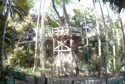Zip Line over the Dunns River Falls - Pickup, Timing, and How You Avoid the Usual Waiting