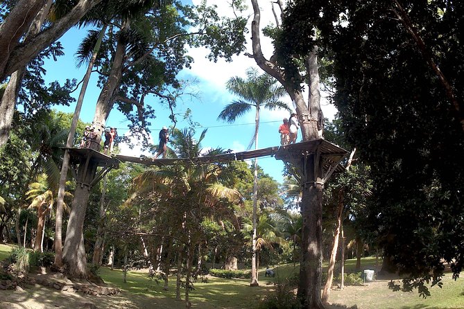 Zip Line over the Dunns River Falls - Price Check: Is $192.67 Worth It Here?