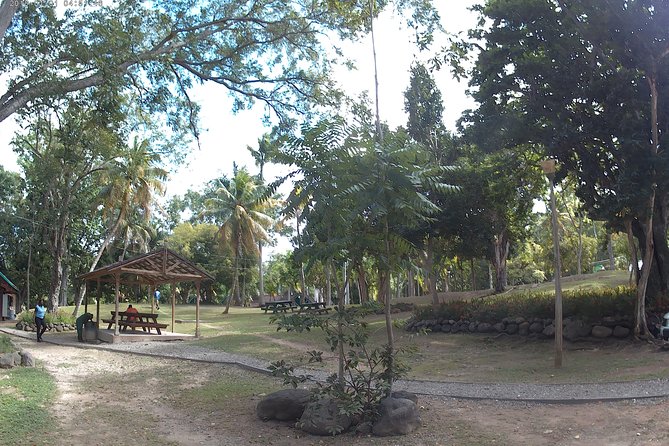 Zip Line over the Dunns River Falls - Who This Excursion Fits Best