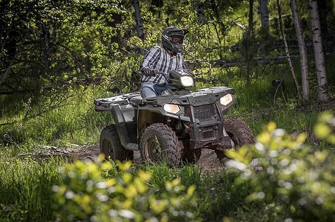 Zip-lining/Horseback Rides/Cat & Atv Inclusive Act with Transpo From Montego Bay - ATV 4-Wheeler Safari: Licensing, Trails, and 1-on-1 Help