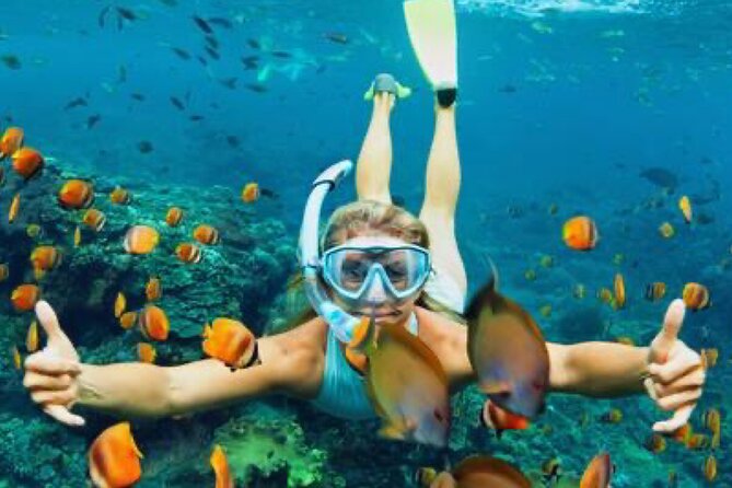 Zip-lining/Horseback Rides/Cat & Atv Inclusive Act with Transpo From Montego Bay - Ziplining: Fast Fun, But Pay Attention to Safety Space