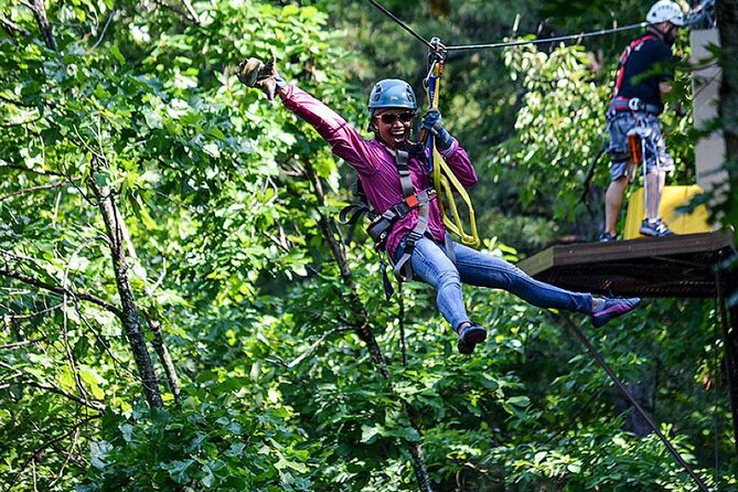Zip-lining/Horseback Rides/Cat & Atv Inclusive Act with Transpo From Montego Bay - Horseback Riding Through Backcountry and Into the Sea
