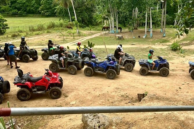 Zipline, Horseback Ride and Swim and Quad ATV bike in Negril - The Main Attractions: Zipline, Horses, Swim, and Quad ATV