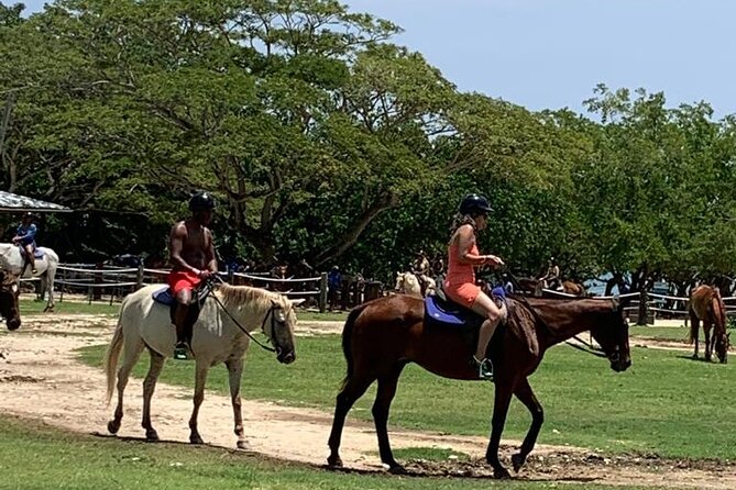 Zipline, Horseback Ride, ATV and Catamaran from Montego Bay - How the Day Moves: From Montego Bay Pickup to Four Stops